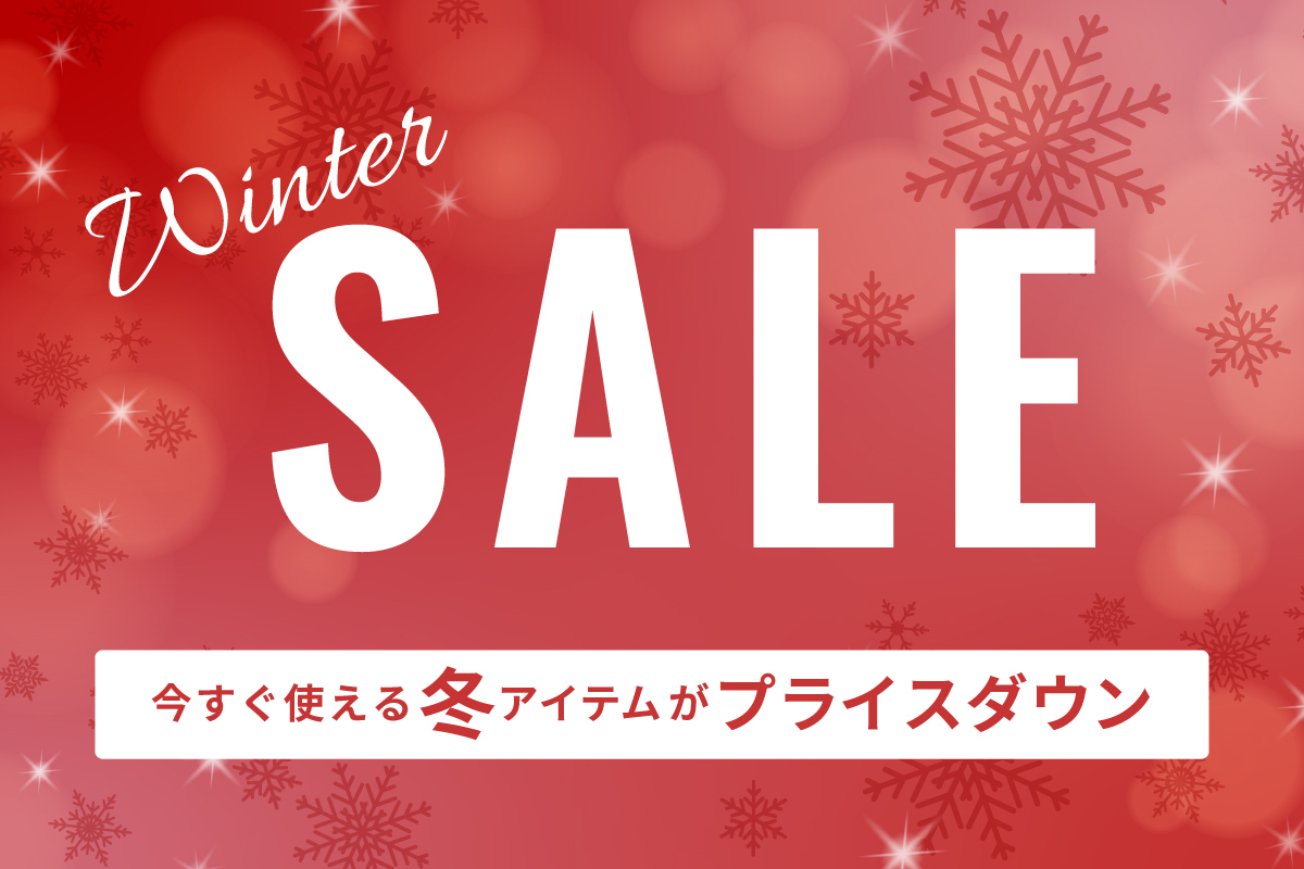 WINTER SALE_pi