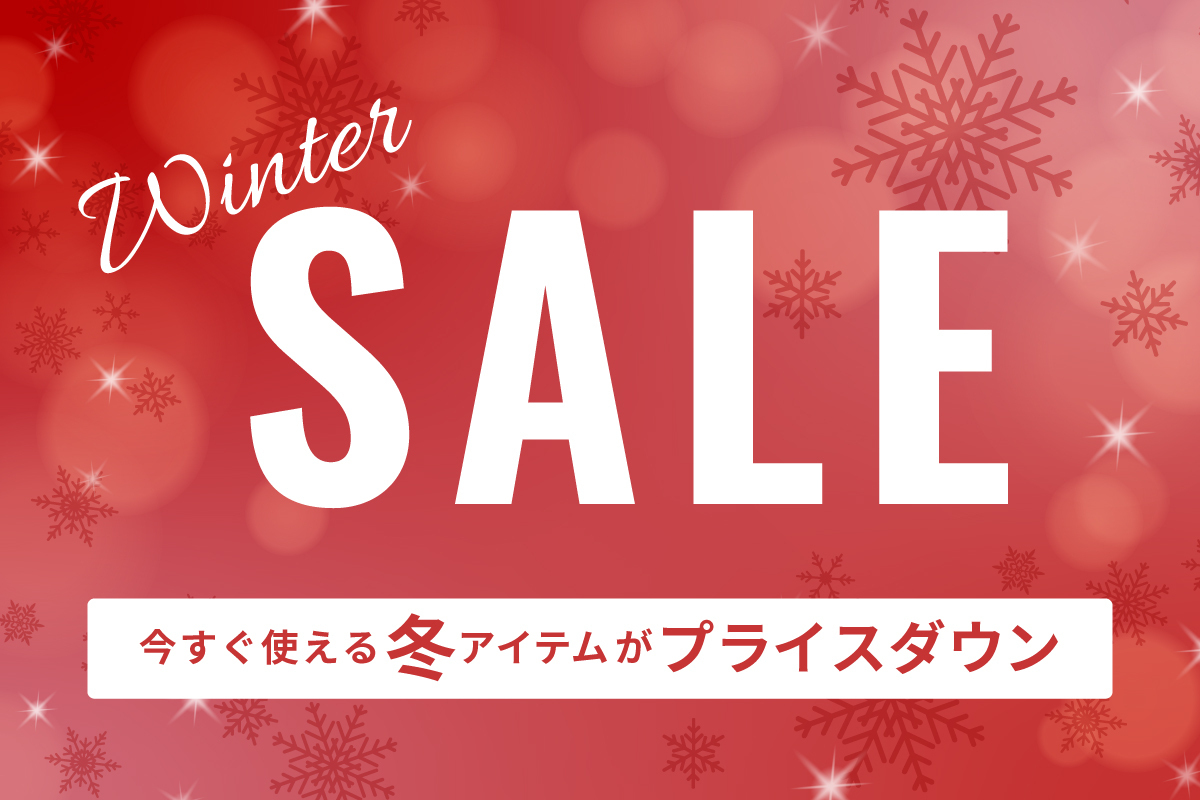 WINTER SALE_pi