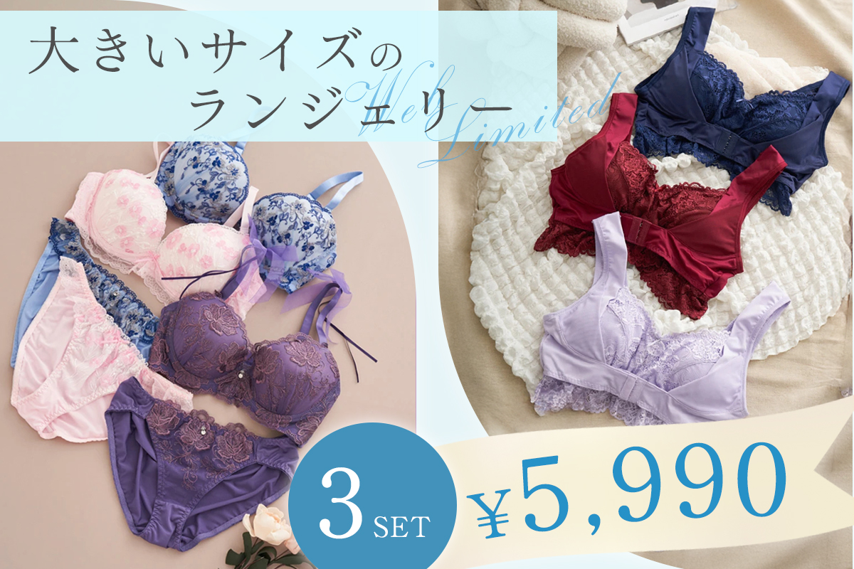 WEB限定♪大きいサイズの下着3点セット